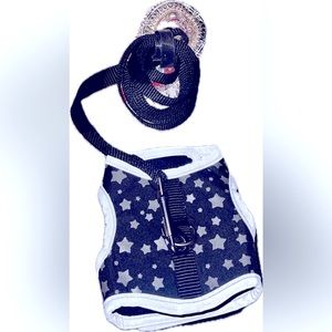 Pet harness and leash